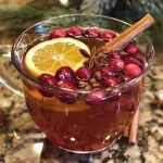 ['Xícara de chá de cranberry especiado com especiarias visíveis.', 'Close-up de uma xícara de chá de cranberry decorada com canela.', 'Bebida quente de chá de cranberry em uma xícara elegante.', 'Chá aromático de cranberry e especiarias servido em um recipiente.']